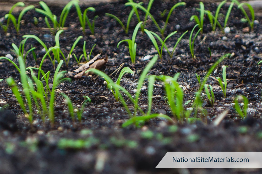 Topsoil Vs Manure National Site Materials
